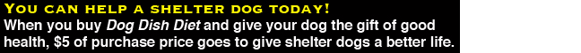 Save a shelter dog