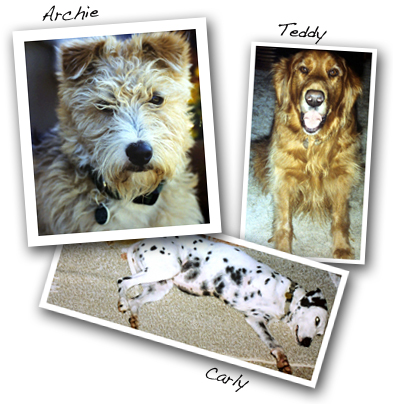 carly_archie_teddy